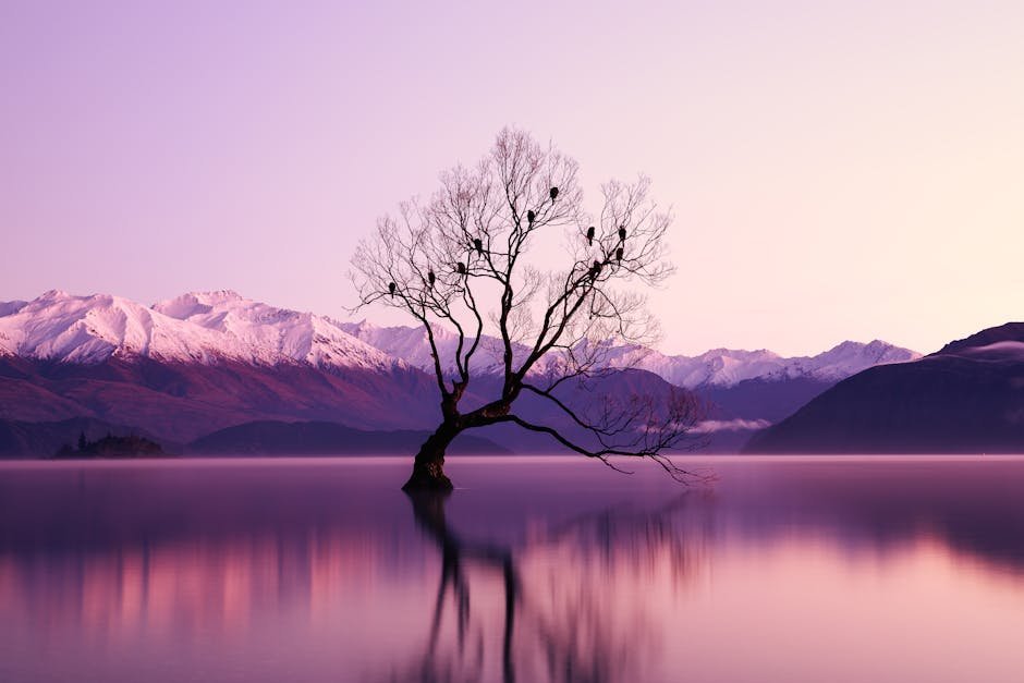 Lake Reflections - A serene landscape at dawn featuring a lone tree #2138922