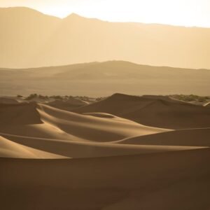 Desert Wilderness - Captivating view of sand dunes bathed in golden  #35970236