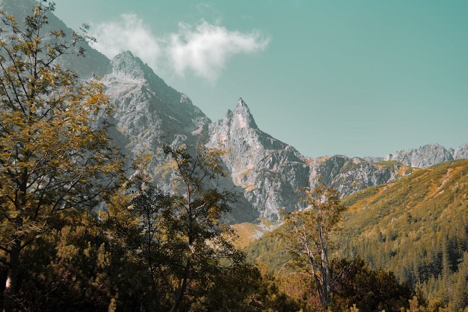 Mountain Landscapes - Explore the serene mountain landscape of Zakopan #4125919