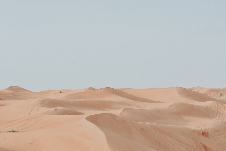 Desert Wilderness - Vast desert landscape with smooth sand dunes und #4731800